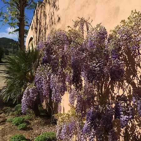 Anselmi Sauro 3* Портоферрайо