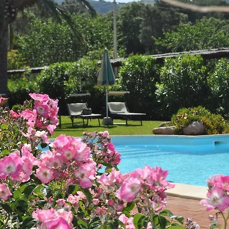 ゲストハウス Anselmi Sauro