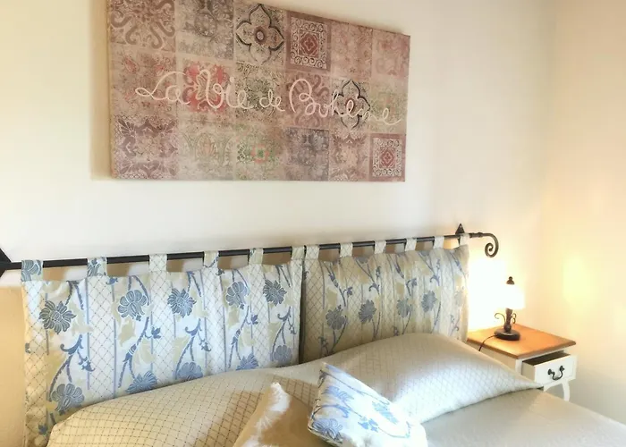 Anselmi Sauro ポルトフェッラーイオ