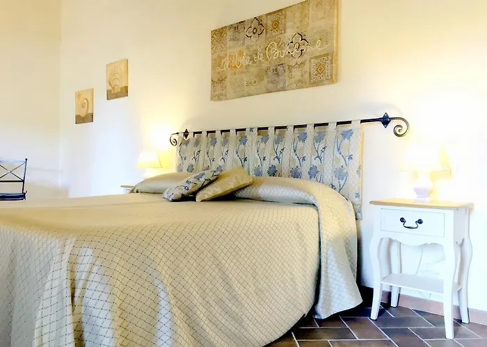 Anselmi Sauro ポルトフェッラーイオ